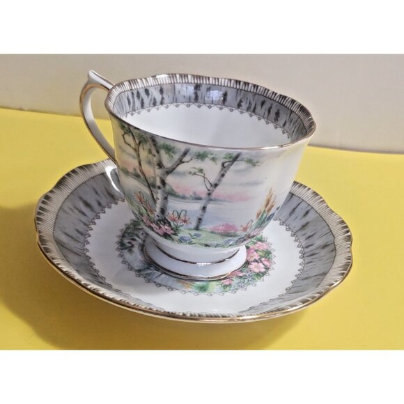 Vintage Royal Albert Silver Birch pattern Cup & Saucer Set - Picture 1 of 9
